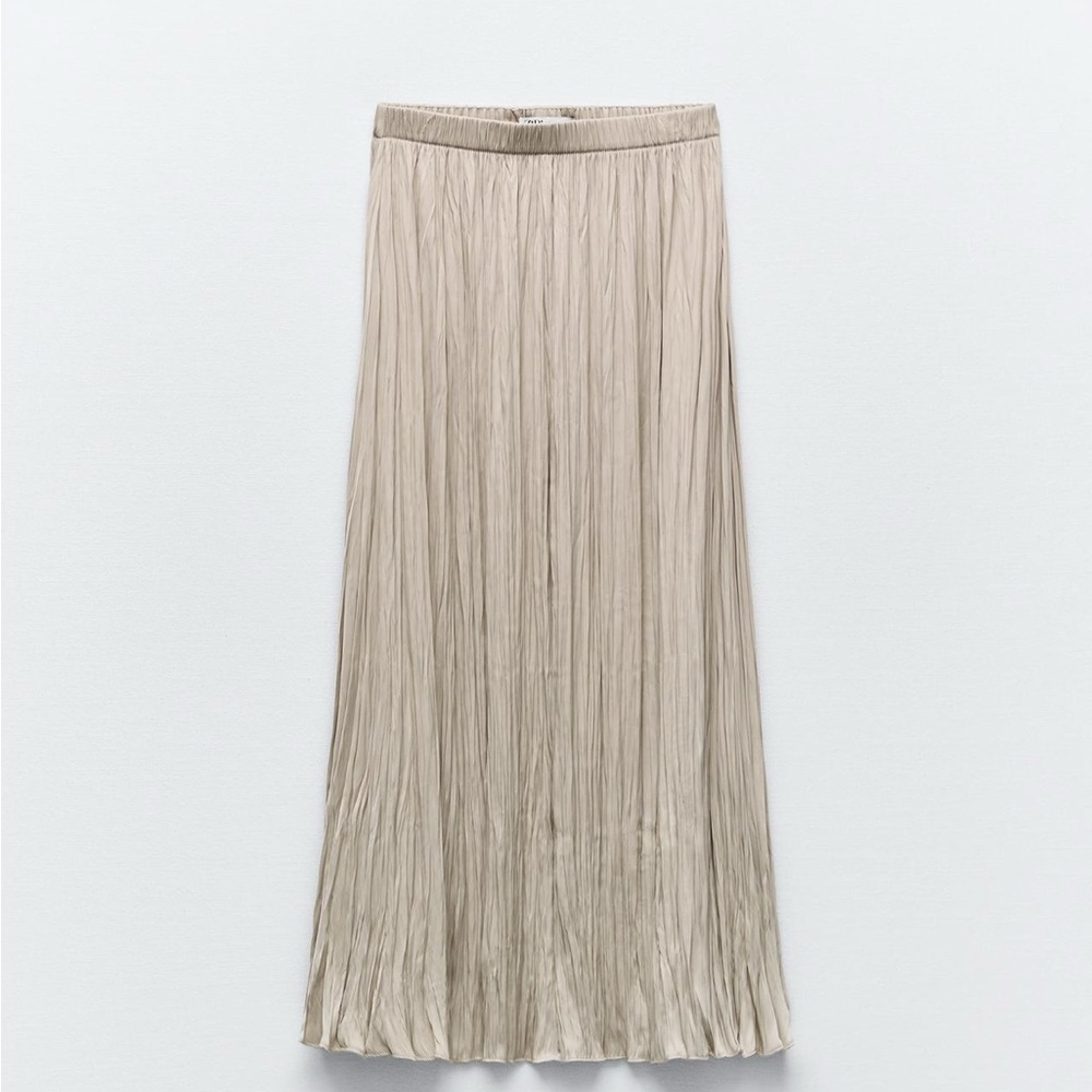 Zara Maxi A-Line Skirt